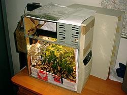 pc als gewächshaus