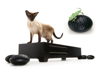 holz_dvd_player