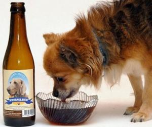 hundebier