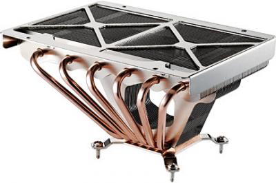 coolermastergeminii