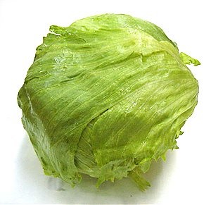 eisbergsalat