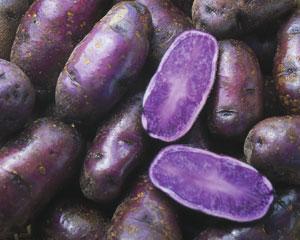 weltraum_kartoffeln