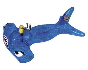 hammerhai